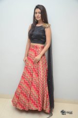 Payal Rajput New Photos